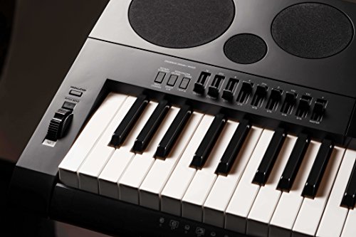 Casio WK-7600 Clavier avec support réglable, banc, pédale de soutien, alimentation, DVD d’instructions Austin Bazaar et… - Les Beatles, Paul McCartney, John Lennon, RIngo Starr, George Harrison Casio WK-7600 Clavier avec support réglable, banc, pédale de soutien, alimentation, DVD d'instructions Austin Bazaar et… – Image 6