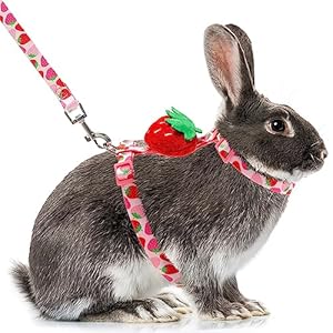 Rabbit Harness and Leash – Adjustable Bunny Harness Escape Proof for Walking Runnig Hiking Camping Outdoor – Pink Strawberry Pattern Cute Small Animal Harness Leash Set