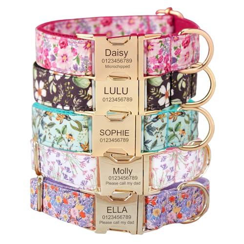 Collier pour chien gravé avec nom et numéro de téléphone, personnalisé pour chiens de petite, moyenne et grande taille (floral)