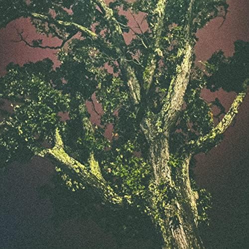 I crave the song of crickets.mp3 by Sea Rose on Prime Music