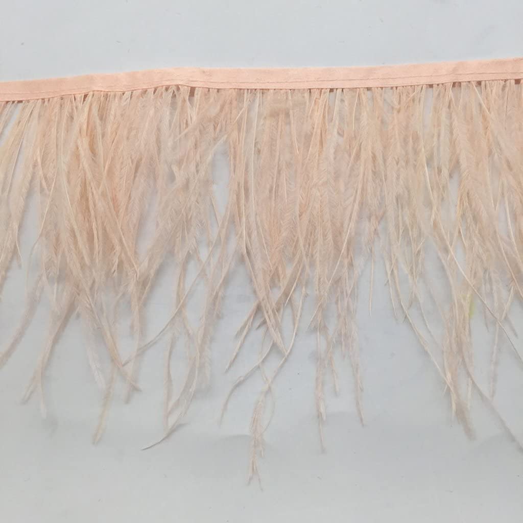 フランスアンティーク　オーストリッチフェザー　ツートン　ostrich　Feather　ディスプレイ