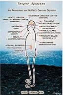 Tangled Synapses: How Neuroscience and Resilience Overcome Depression 061519964X Book Cover