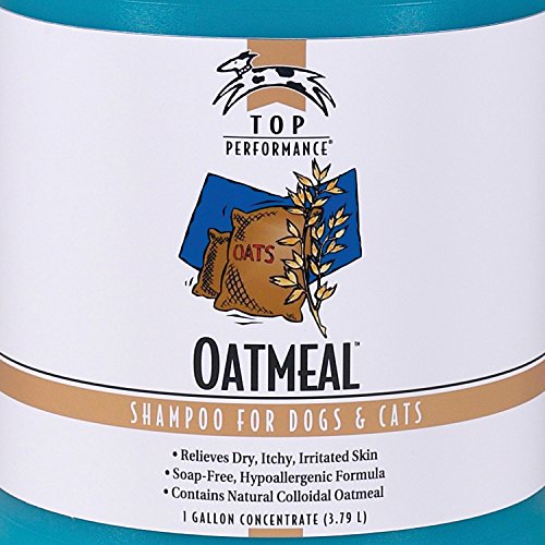 Top Performance Oatmeal Dog And Cat Shampoo, 1-Gallon #TOP1