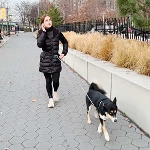 Outdoor Adventure Dog Leash Tether (Blue) - Image 3