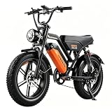 E Bike Herren 20 Zoll Fatbike, E-Bike mit 20×4,0 Reifen, Doppel-Federung, 48V 15,6Ah Akku, Shimano 7-Gang, LCD-Display, Scheibenbremsen, bis 25 km/h