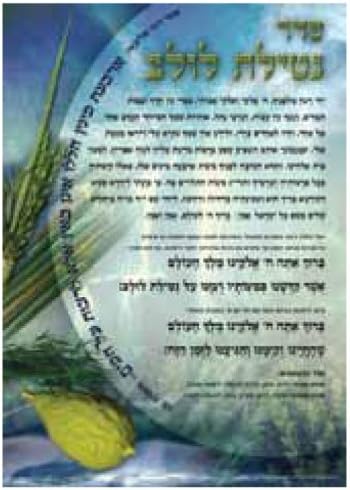 Seder Netilas Lulav Laminated Sukkah Poster
