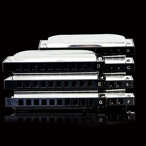 SWAN 10-hole Blues Harmonica Full-scale Ten-hole Harmonica A B C D E F G 7-tone Set Harmonicas Hardcover Gift Box