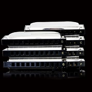 SWAN 10-hole Blues Harmonica Full-scale Ten-hole Harmonica A B C D E F G 7-tone Set Harmonicas Hardcover Gift Box