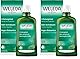 WELEDA Bio Edeltannen Erholungsbad, Naturkosmetik Bio Bade Essenz mit ätherischen Ölen von Fichten und Edeltannen zur Entspannung und Pflege, Badezusatz für innere Kraft (1 x 200 ml) (Packung mit 2)
