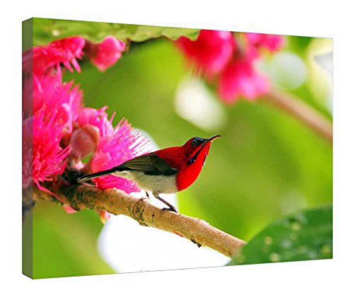 Toile tournesol printanier 40x50 cm prête à suspendre sans cadre