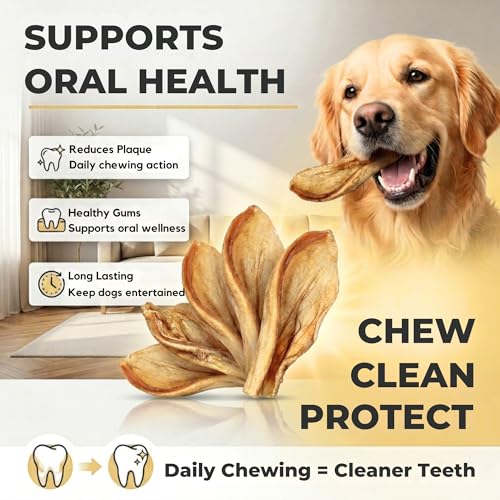 Image of Dog Treats, Rawhide Free, Dried Water Buffalo Ears, High Crude Protein Dog Food for Adult, Medium & Small Dog Sizes, Natural & Long-Lasting Dog Treat (5 Pieces)