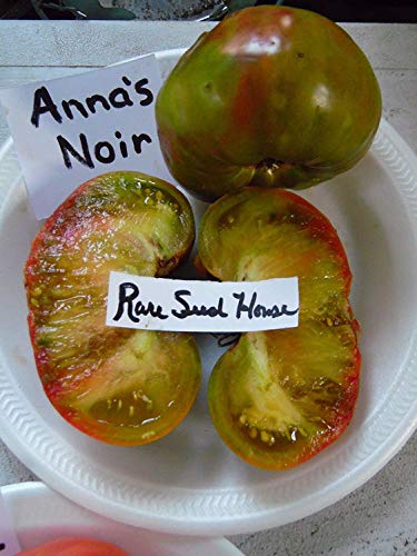 Homely Anna's Noire Tomato Seeds Great Tasting Tomato Bonsai Seeds