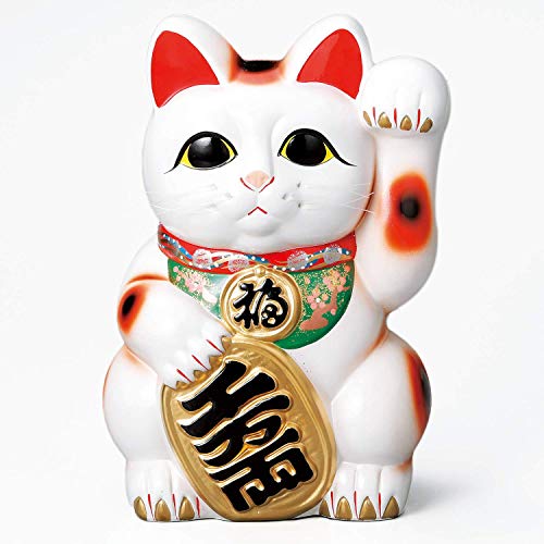 常滑焼 梅月作 左手 白小判猫 貯金箱 10号 33cm 千万両