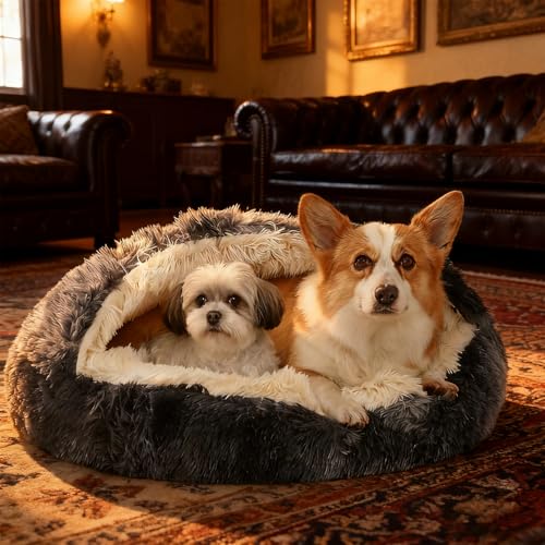 SHJOEE Flauschig Hundebett Muschelform 70cm Katzenbett Warm Tierbett Haustierbett Waschbar Hundesofa Katzensofa Plüsch Hundekorb Katzenkorb Weiche Kuschelbett für Den Schlaf im Innenbereich