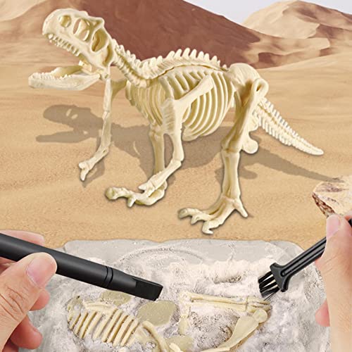 escavação para crianças – Brinquedo escavação arqueológica dinossauro para crianças e adultos | Kits