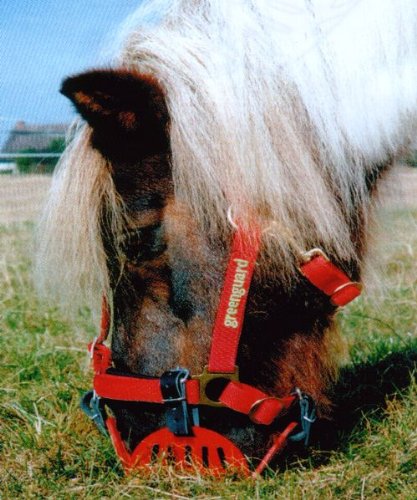 greenguard Maulkorb "Fressbremse" Gr. Pony Cover