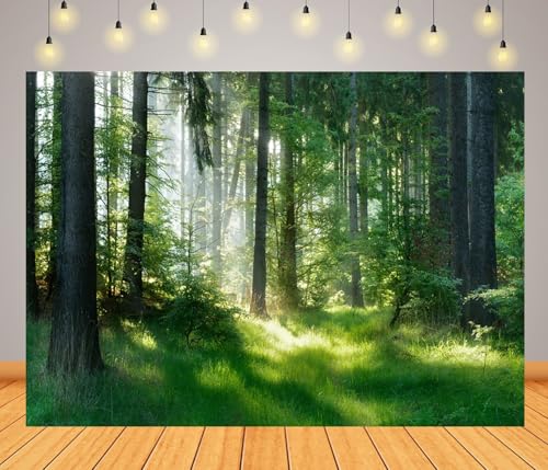 Décor nature forestière fraîche pour habiller un mur de studio - 3