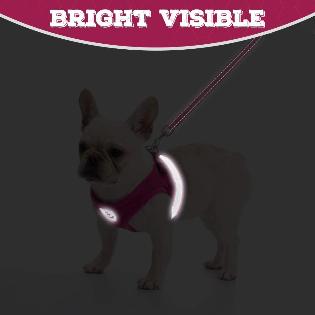 Cat Harness and Leash Set - Escape Proof Adjustable Cat Harness for Walking, Soft Mesh Reflective Pet Vest Harness for Cats Puppies