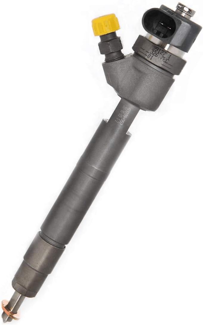 0445110108 Common Rail Injector for 2.2L 2.7L Engine