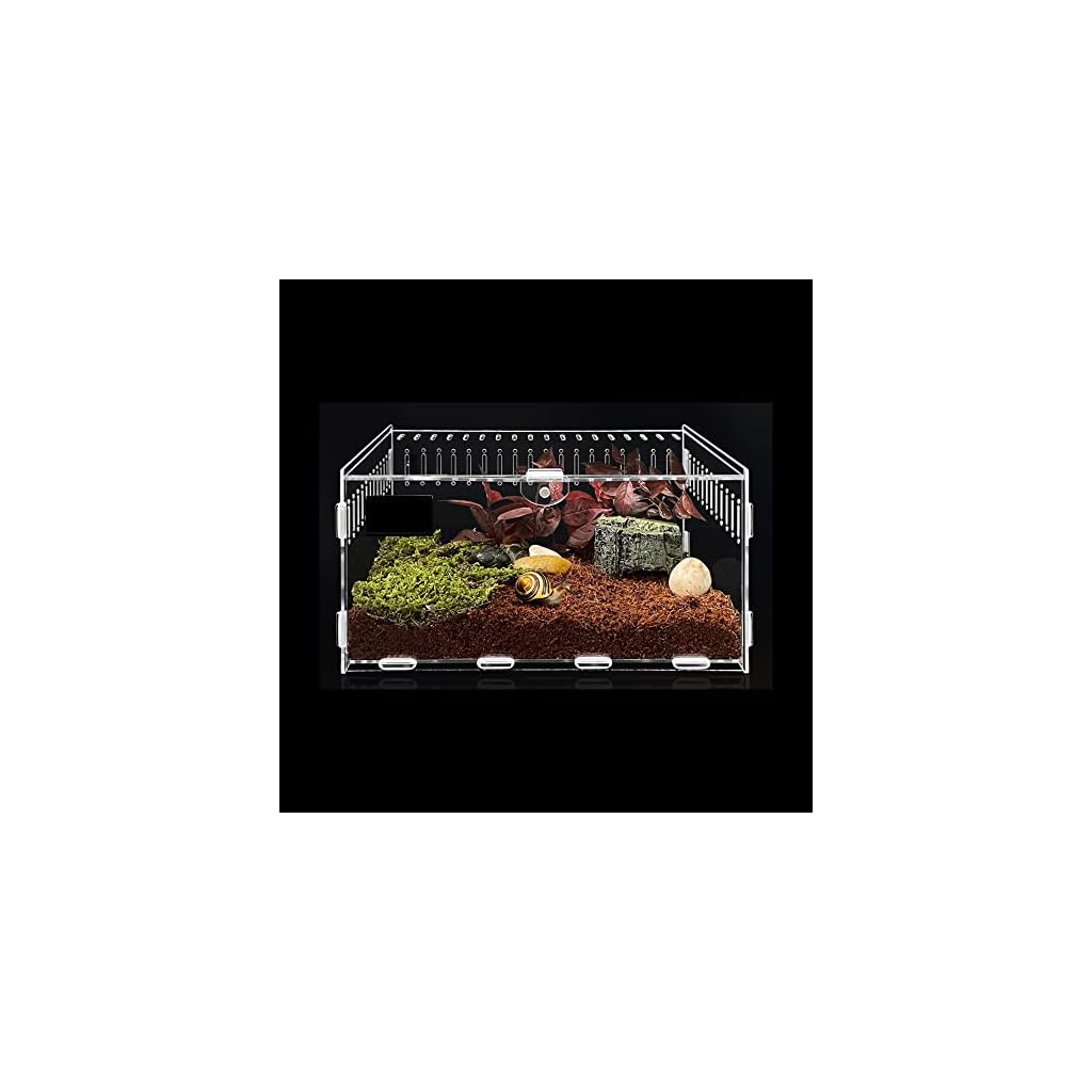 Boîte d&rsquo;alimentation D&rsquo;insectes,Habitat de Reptile Boîte D&rsquo;élevage Transparente Breeding Box for Spiderlings Contenants de Terrarium en Acrylique pour Lézard Araignée Coléoptère