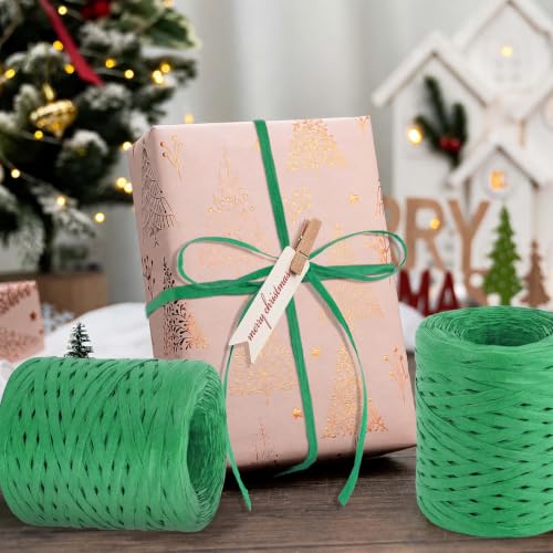 Image of BEVTEE 436 Yards Raffia Yarn for Crochet, Packing Paper Twine 2 Rolls Green | Paper Ribbon for Wrapping Christmas Crafts DIY Decoration, Easy to Tie, Perfect for Basket Weaving Supplies