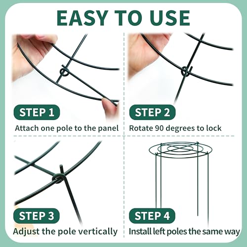 image for TCBWFY Peony Support Cage,Heavy Duty Metal Plant Support Rings with 3.