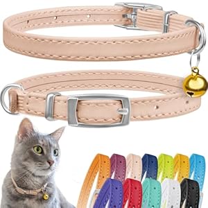 CollarDirect Collier pour Chat en Cuir avec Sangle Elastique et Cloche – Sécurité pour Chaton – Noir, Bleu, Rouge, Orange, Vert Lime, Beige (20-28 cm)