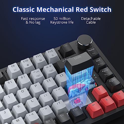 Image of Fogruaden Wired 75% Mechanical Keyboard, Hot Swappable Gasket Mount With Red Switch, RGB Backlit 82 Keys TKL, NKRO Compact Gaming With Knob (Dolch)