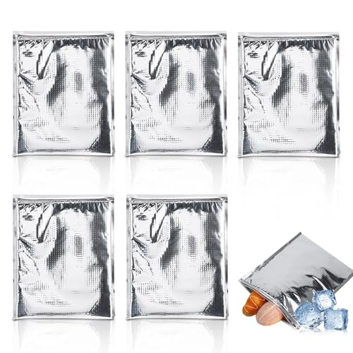 Sacchetti Termici per Alimenti, 5 pezzi/set Borsa Termica Isolanti Riutilizzabili Fodere per Conservazione Alimenti Isolate in Foglio di Alluminio per Picnic, Scuola, Viaggi, Campeggio (25 * 30cm)