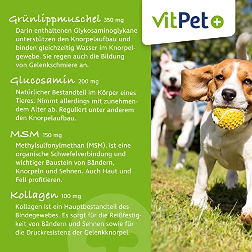 VitPet+ GelenkVit - Gelenktabletten Hund - Mit Grünlippmuschel Hund, Teufelskralle, MSM, Kurkuma und Kollagen - 100 Gelenktabletten für Hunde - Premium Inhaltsstoffe - Made in Germany