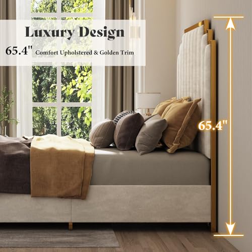 Image of AMERLIFE California King Size Upholstered Bed, Modern Velvet Bed Frame with 65.4 inch Tall Gold Trim Headboard, No Box Spring Needed, Cream