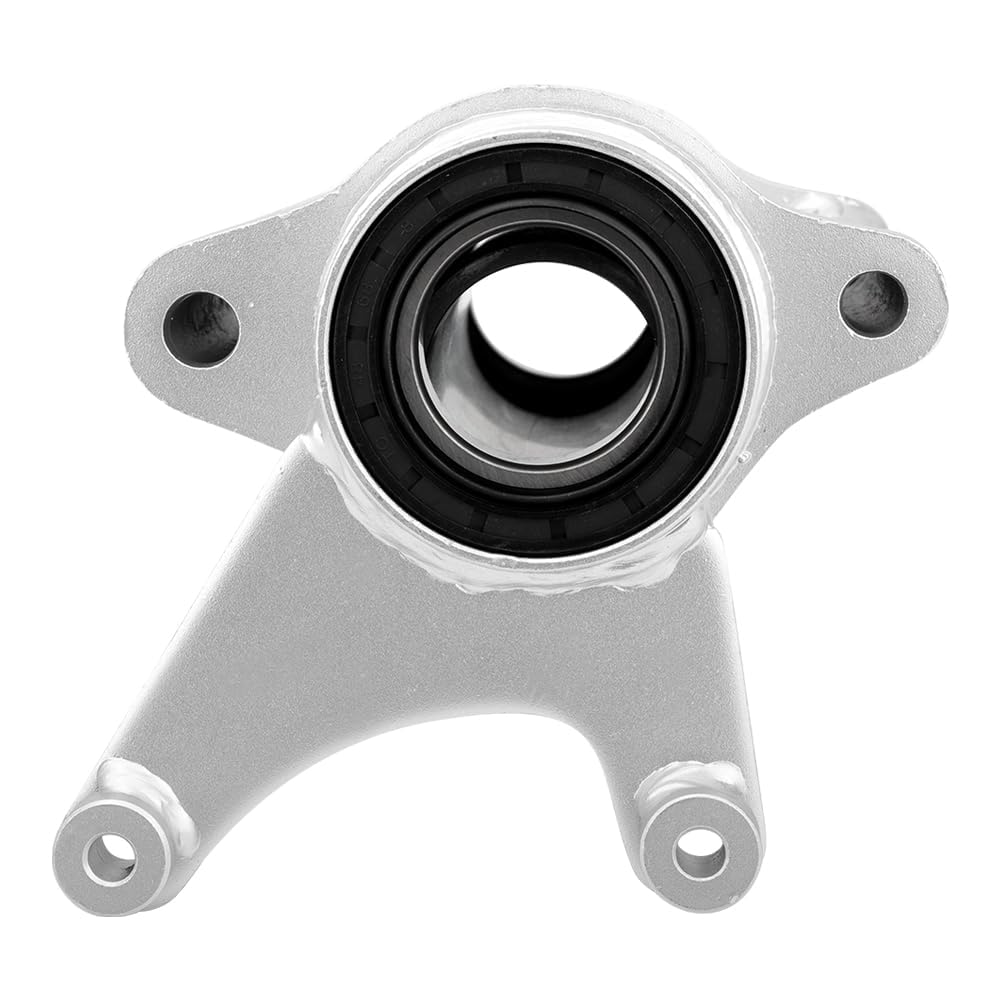 Porta rodamientos eje trasero y cubo para Yama-ha Ha Warrior 350 YFM350X 1990-2004
