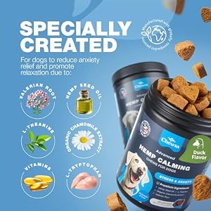 Hemp Calming Chews for Dogs Anxiety - 180 Duck Flavor Treats for Dog Calming with Valerian Root, Chamomile Extract & L-Theanine - Dog Chews for Vet Visits, Travel, Thunderstorms, Nail Trimming Hemp Calming Chews for Dogs Anxiety – 180 Duck Flavor Treats for Dog Calming with Valerian Root, Chamomile Extract & L-Theanine – Dog Chews for Vet Visits, Travel, Thunderstorms, Nail Trimming