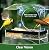 Window Bird Feeder with Strong Suction Cups - Transparent Bird House for Cat, Kids & Elderly Viewing - Polyurethane
