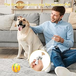 Interactive Dog Ball Toy Smart Tennis Pets Chew Toys Electric Launcher Durable Automatic Rolling Balls for Dogs Cat Bouncing Busy Ball for Smalllarge Pet yellow Automatic  Cucciolini Doodles Interactive dog ball toy smart tennis pets chew toys electric launcher durable automatic rolling balls for dogs cat bouncing busy ball for smalllarge pet yellow automatic   cucciolini doodles