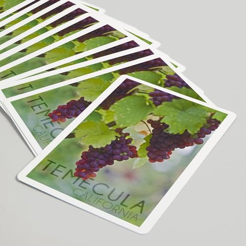 Lantern Press Temecula, California, Uvas en Vid, 52 Cartas Poker miniatura 5