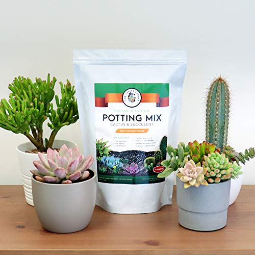 Organic Potting Soil, Cactus And Succulent Soil Mix, Professional Grower Mix Soil, Fast Draining Pre-Mixed Coarse Blend (2 Quarts) #TOP3