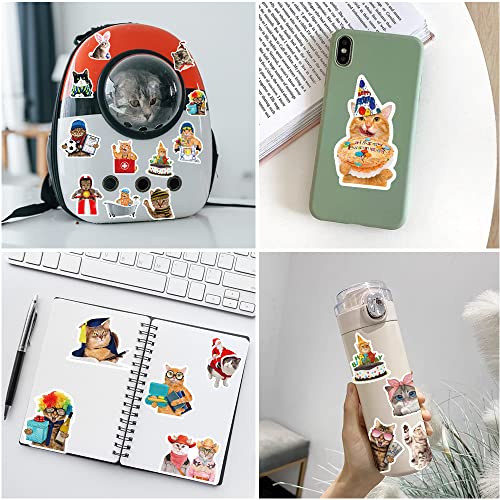 Diydec 50Pcs Cat Stickers, Kitten Stickers Cute Cat Laptop Stickers Decals Vinyl Waterproof For Water Bottles Phone Guitar Skateboard Scrapbook Funny Cat Stickers For Kids Teens Girls Adults #TOP4