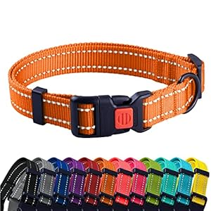 CollarDirect Collier pour Chien Réfléchissant pour Petit et Grand Chien avec Une Boucle à Détachement Rapide – Mâle et Femelle- 48 Options Nylon (Orange, 35-45 cm)