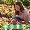 Fruivity Moss Rose Seeds for Planting, 24,000+ Annual Flower for Ground Cover Flower Seeds, Heirloom Variety, Easy to Grow, Portulaca Seeds to Plant Outdoors Garden Containers #3