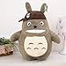 HS1 Mon Voisin Totoro en Peluche Totoro Anime Doux Cadeau d'anniversaire de poupées en Peluche,60cm
