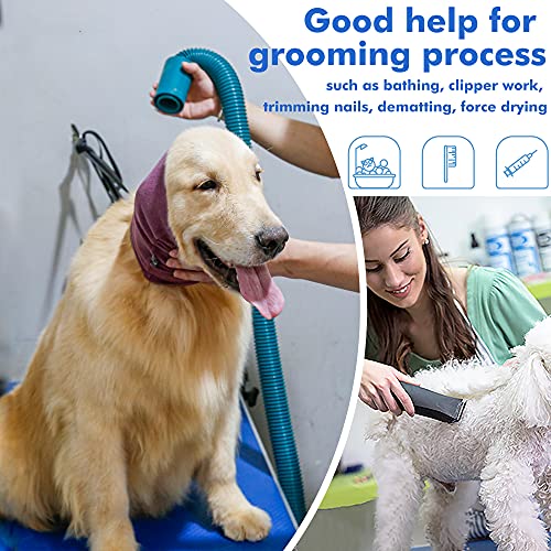 Lelepet Ohrenschutz für Hunde, Hunde Gehörschutz, Beruhigender Kapuzenpullover, Hund Ohrenschützer zur Geräuschreduzierung, Hundehals und Ohrenwärmer, Hund Ohrenpflege Lärmschutz, Lila S