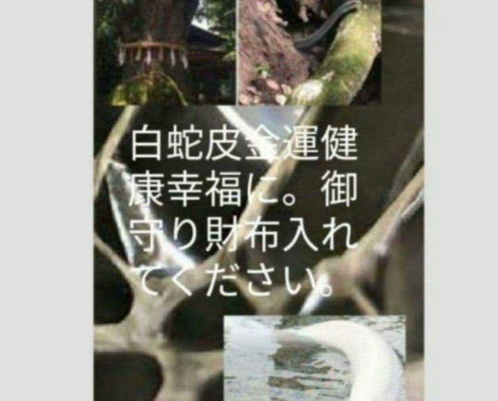 ⭐️祭⭐️中野良広 ガラス花瓶 珍しい葡萄柄にウットリ ⭐️祭⭐️中野良広 ガラス花瓶 珍しい葡萄柄にウットリ インテリア