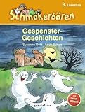  Gespenstergeschichten: Mit Leserätsel