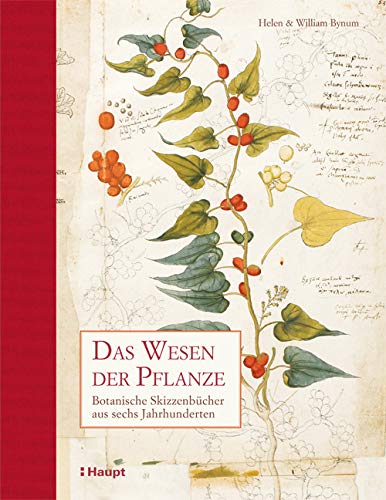 Das Wesen der Pflanze: Botanische Skizzenbücher aus sechs Jahrhunderten Das Wesen der Pflanze: Botanische Skizzenbücher aus sechs Jahrhunderten