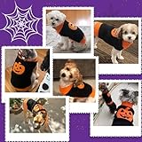 Hundepullover Halloween Kostüm Hund Kürbis Hunde Pullover Warme Halloween Hundepullover für Kleine Mittelgroße Grosse Hunde Party Geschenk für Haustier Puppy und Katzen Schwarz XXL