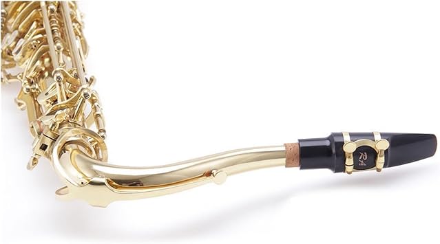 Tenor Saxophone B flat Professional instrument