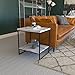 Tilly Lin Faux Marble Side Table, White Marble Small Coffee Table with Storage, 2-Tier End Table for Living Room, Nightstand for Bedroom (White, Black)