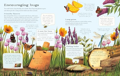 Usborne Outdoor Book: Fun Outdoor Activities For Kids Exploring Parks, Beaches, Forests, and Backyards - Image 3