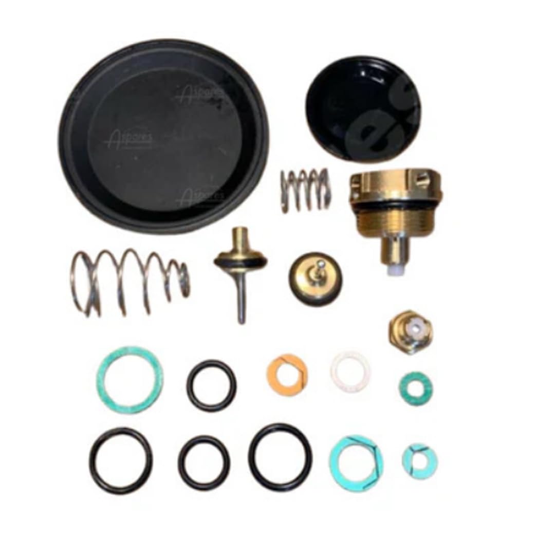 Compatible with Main Combi 24 24HE 30HE 3 Way Diverter Valve Repair KIT for 248062